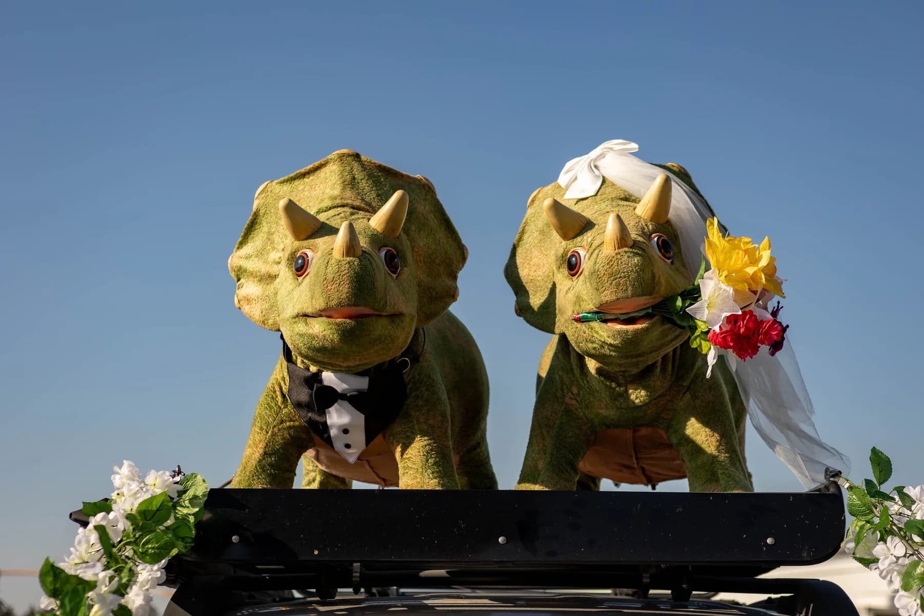 Two playful dinosaur figures dressed for the wedding