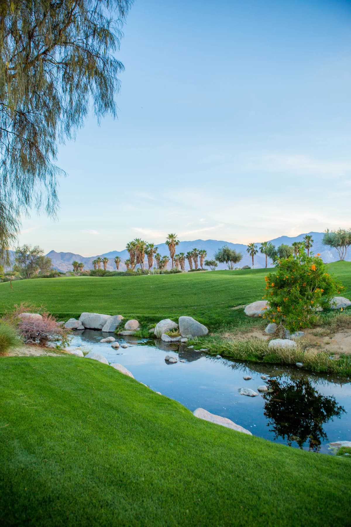 Water, palm trees, green landscape, and mountains at Escena Golf Club
