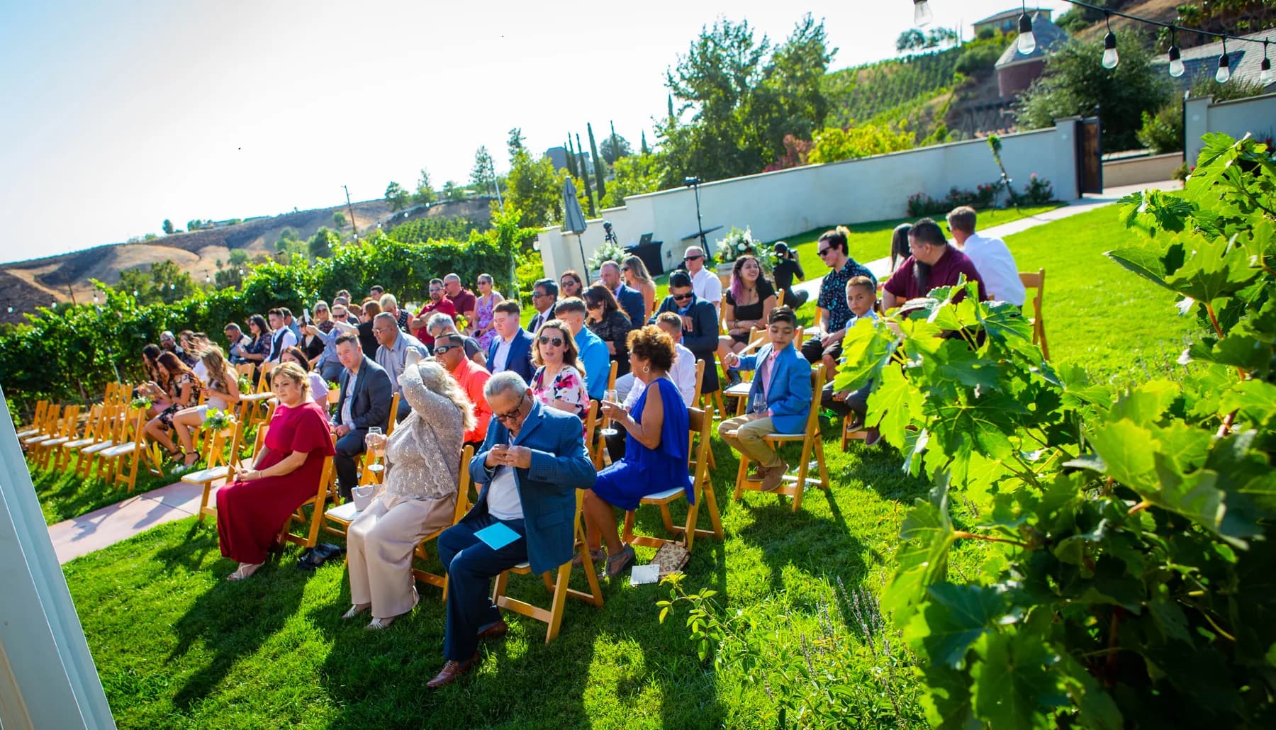 Guests seated on the ceremony lawn overlooking vineyard rows
