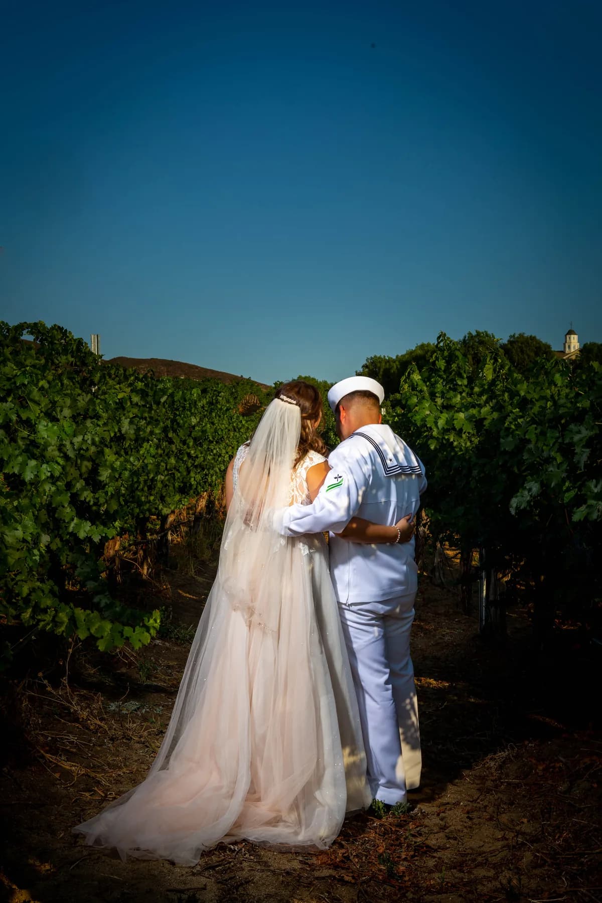 Wedding portrait among vineyard rows at Leoness Cellars