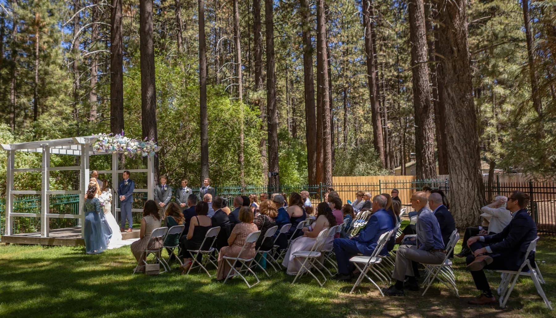 Wide view of the outdoor ceremony and seated guests beneath tall pines