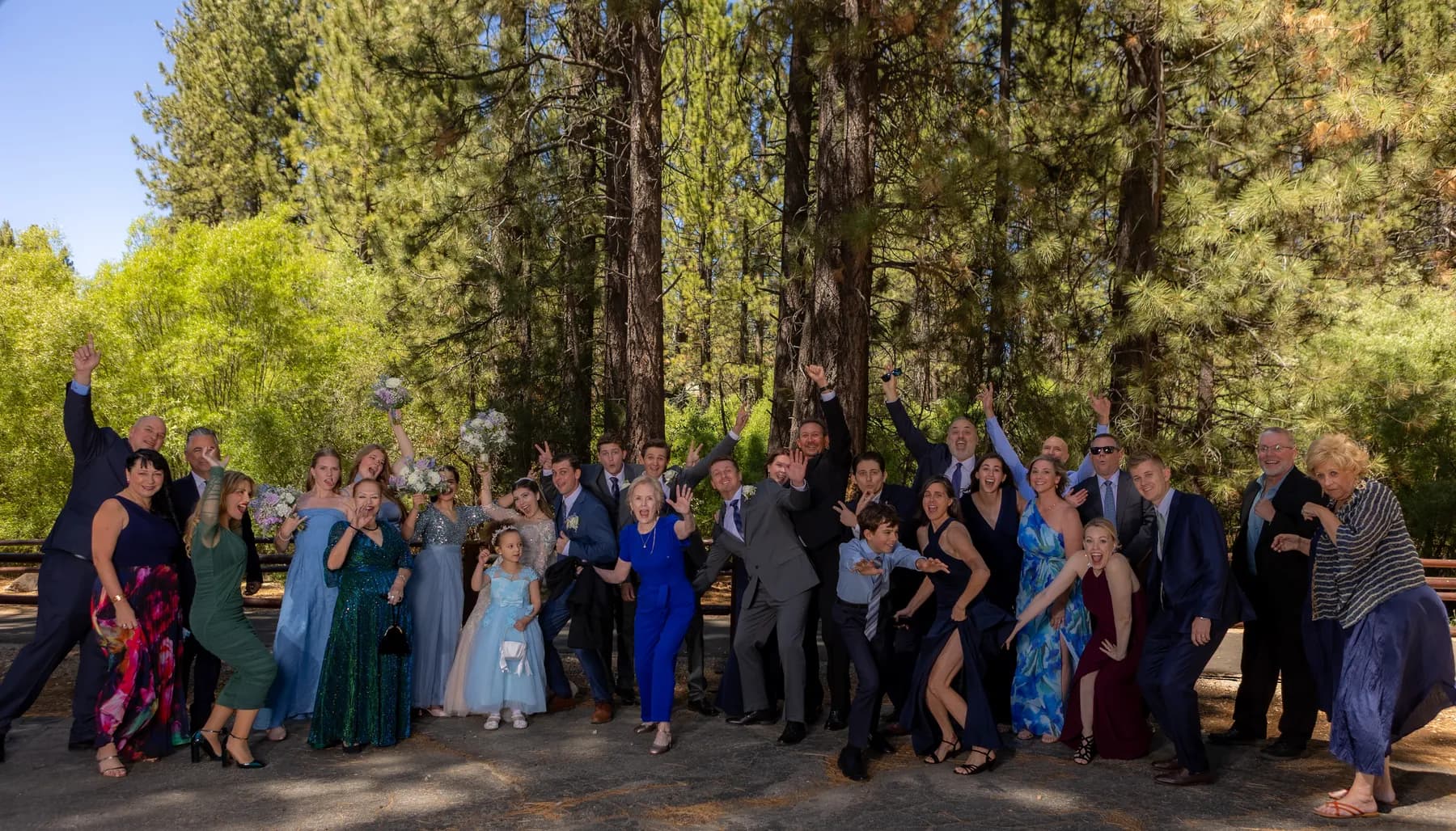 Large group of guests posing playfully among tall pines