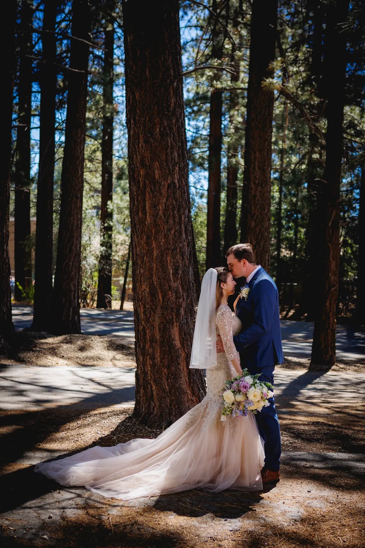 Vertical portrait of Gloria and Ryan embracing near tall pines
