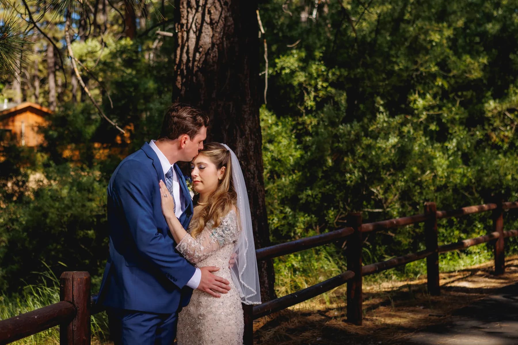 Gloria and Ryan kissing beside a wooden fence and pines