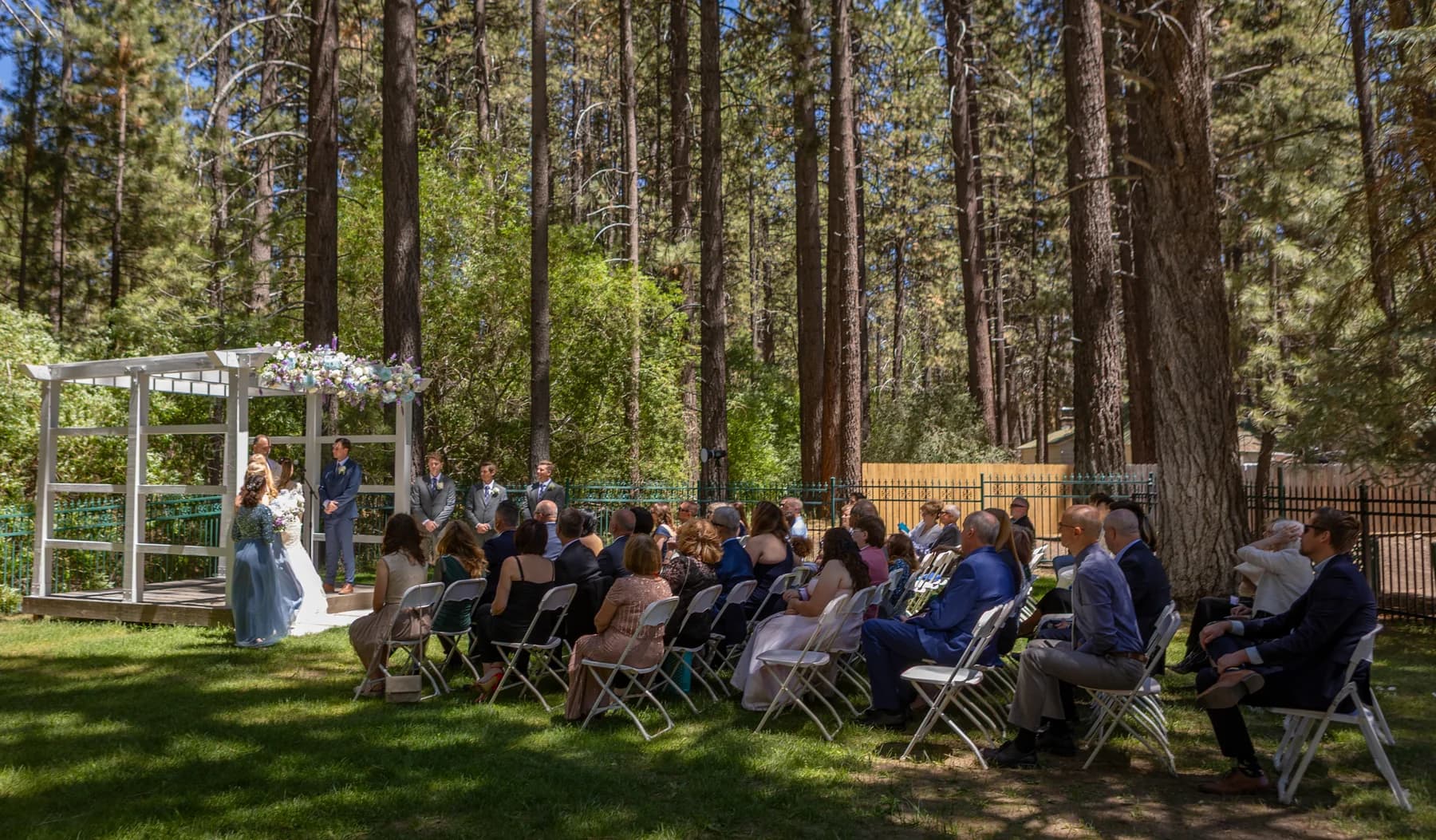 Guests seated beneath pines during Gloria and Ryan's outdoor ceremony